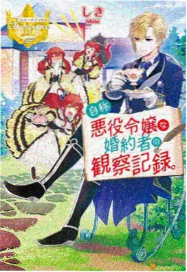 动漫在线收藏卡片:中篇连载动画封面示意图